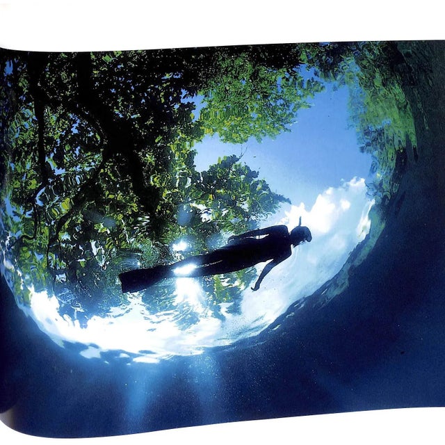 1990s "Pacific: An Undersea Journey" 1992 Doubilet, David For Sale - Image 5 of 12