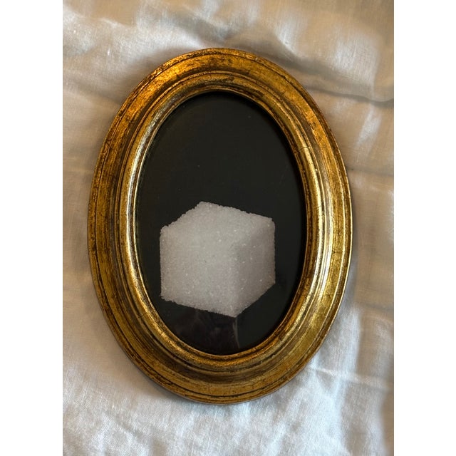 2020s 2026 Jefferson Hayman Digital Print of Sugar Cube Against Black in Antique Gold Frame With Convex Glass For Sale - Image 5 of 7