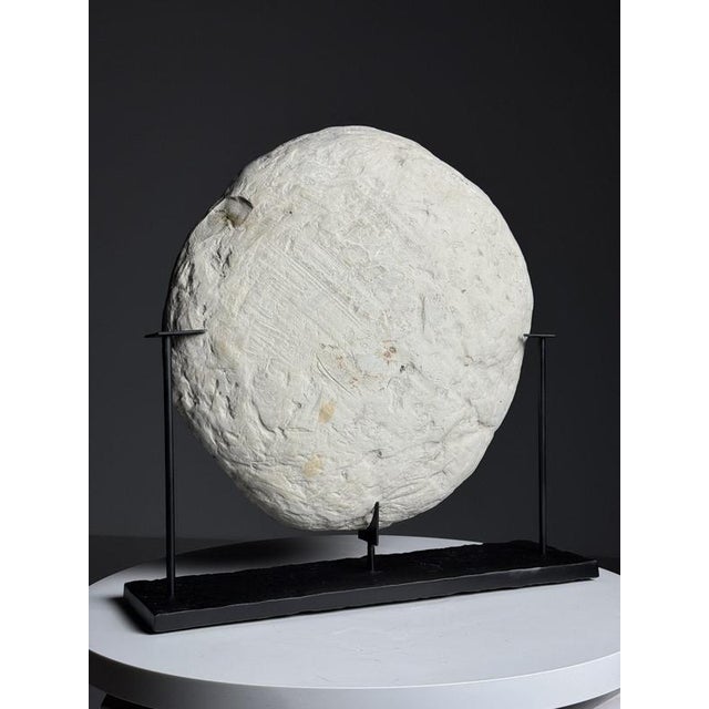 Septaria Nodule on Custom Stand For Sale - Image 3 of 15