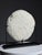 Septaria Nodule on Custom Stand For Sale - Image 3 of 15