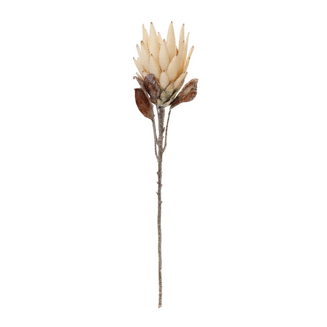 Enhance your holiday decor with the natural elegance of this Beige Protea Flower Stem Set. Featuring soft beige hues and a...