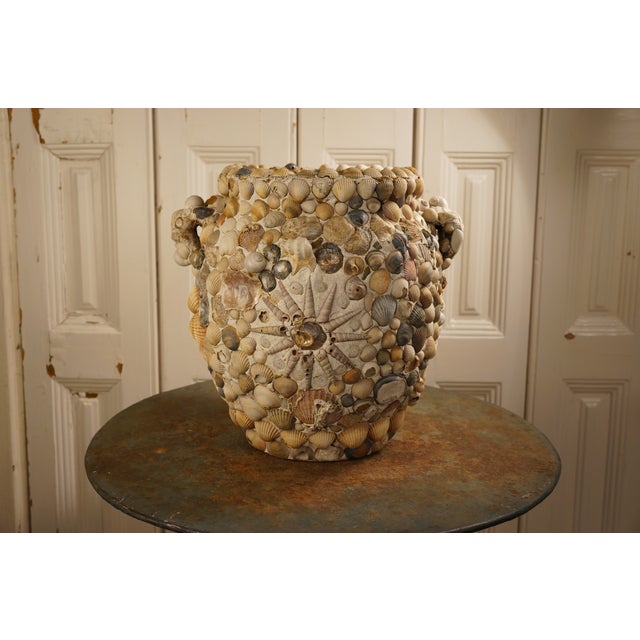 Coastal Grey Shell Vase For Sale - Image 5 of 5