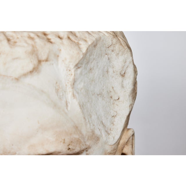 Antique Bust of Roman Emperor Vitellius, c. 1550 For Sale - Image 9 of 9