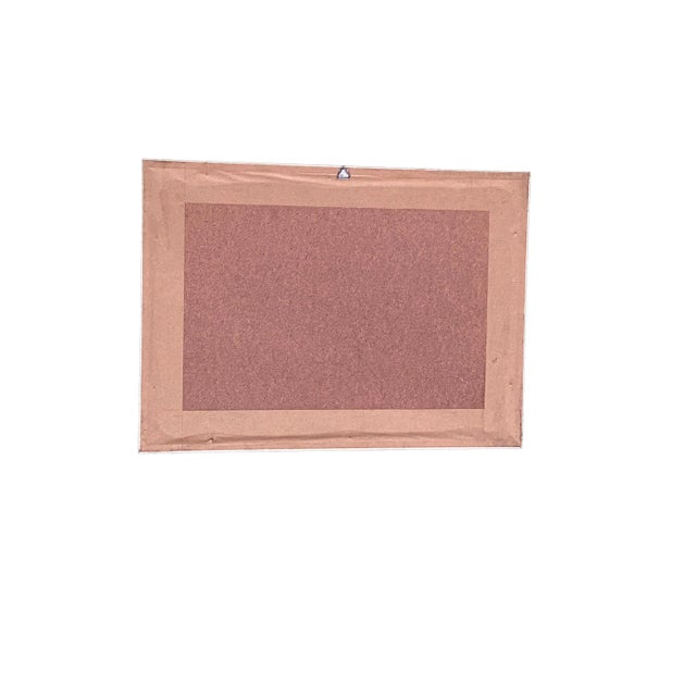 Beige Vintage 19th C Alexander Rodrigues Ferreira Rugendas Print Framed For Sale - Image 8 of 9