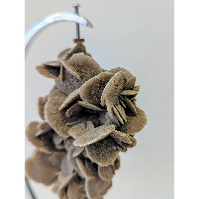 Natural Desert Rose crystal suspended on a polished chrome stand. The Desert Rose is formed through evaporation in arid...