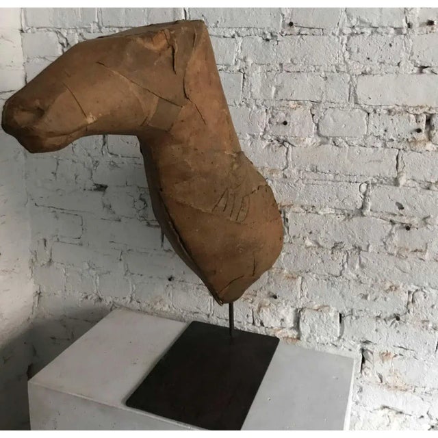 Early 20th Century Taxidermy Mold Elk Head For Sale - Image 4 of 10