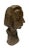 Mid 20th Century Bronze Bust of Chopin Bust by Sculptor Jiri Hanzalek For Sale - Image 10 of 10