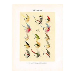 Vintage Trout Fishing Flies Print by Charles Orvis, Original Vintage Fishing Print, Lithograph For Sale