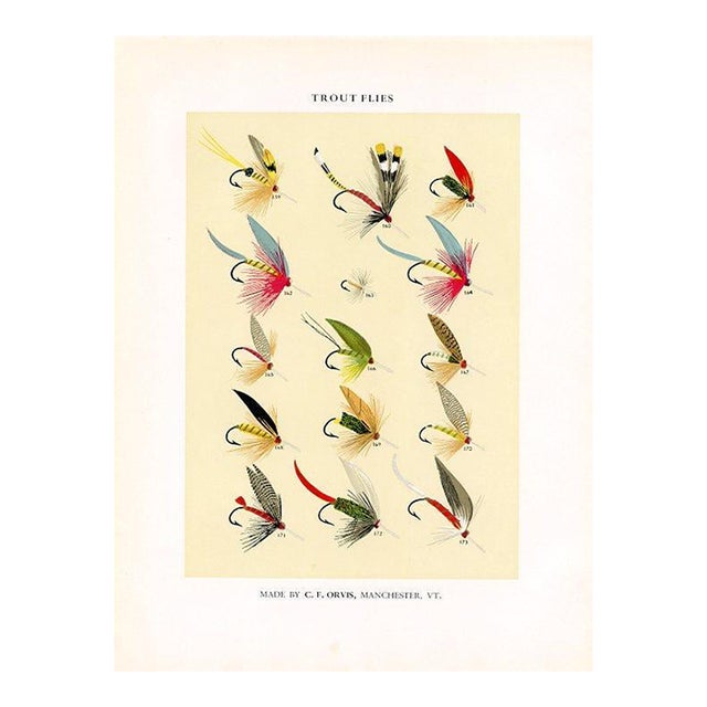 Vintage Trout Fishing Flies Print by Charles Orvis, Original Vintage Fishing Print, Lithograph For Sale