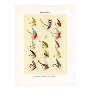 Vintage Trout Fishing Flies Print by Charles Orvis, Original Vintage Fishing Print, Lithograph