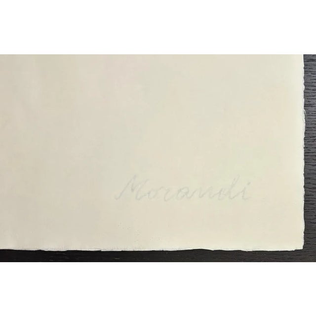 Giorgio Morandi, Still Life, 1963-1973, Lithograph For Sale - Image 6 of 9