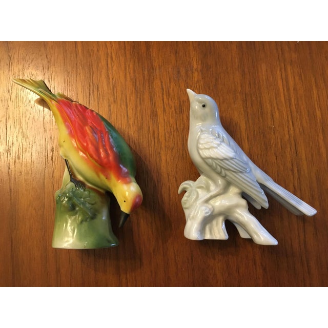 Porcelain Birds, 1950s, Set of 2 For Sale - Image 15 of 15