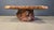 Freeform Coffee Table in Elm, 1970s For Sale - Image 10 of 15