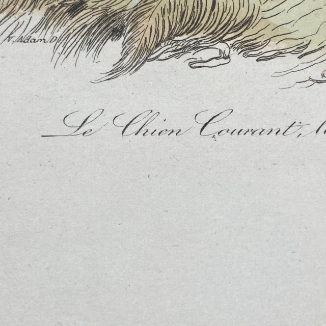 French Antique 18th Century "Le Grand Danois" Dog Engraving Hand Colored Signed Artwork For Sale In Portland, ME - Image 6 of 12