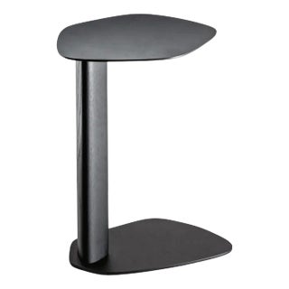 Keisho Coffee Table by Andrea Steidl For Sale