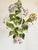 Vintage Italian Handpainted Foral Motif Tole Chandelier For Sale - Image 10 of 18