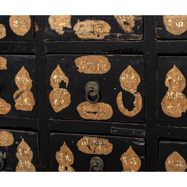 19th Century Chinese Ebonized Wood Apothecary Chest, 19th C. For Sale - Image 5 of 11