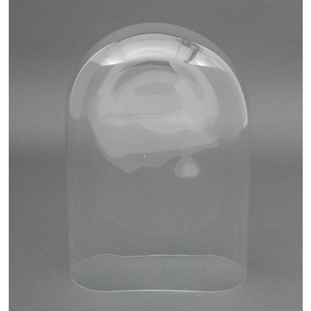 Victorian Glass Display Domes, 2 For Sale In New York - Image 6 of 9