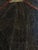 Rare Very Large Australian Aboriginal Painting by Kathleen Petyarre For Sale - Image 17 of 17