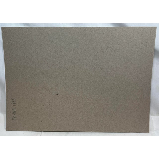 Antique Bird Print From England Showcasing a Pratincole - Circa 1888 For Sale - Image 10 of 10