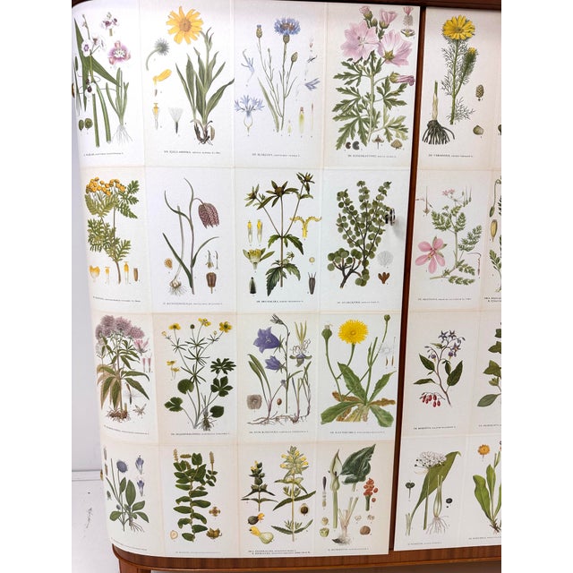1940's Swedish Cabinet With Nordens Flora Illustrations For Sale - Image 10 of 12