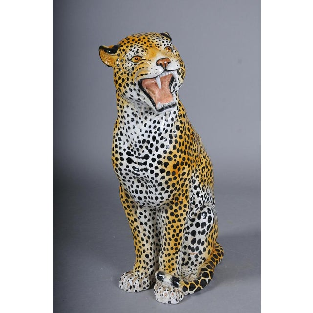 Leopard with Broken Foot For Sale - Image 9 of 18