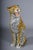 Leopard with Broken Foot For Sale - Image 9 of 18