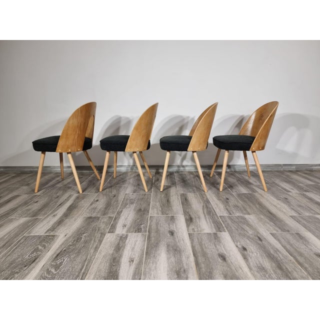 Black Dining Chairs by Antonin Suman, 1960s, Set of 4 For Sale - Image 8 of 11