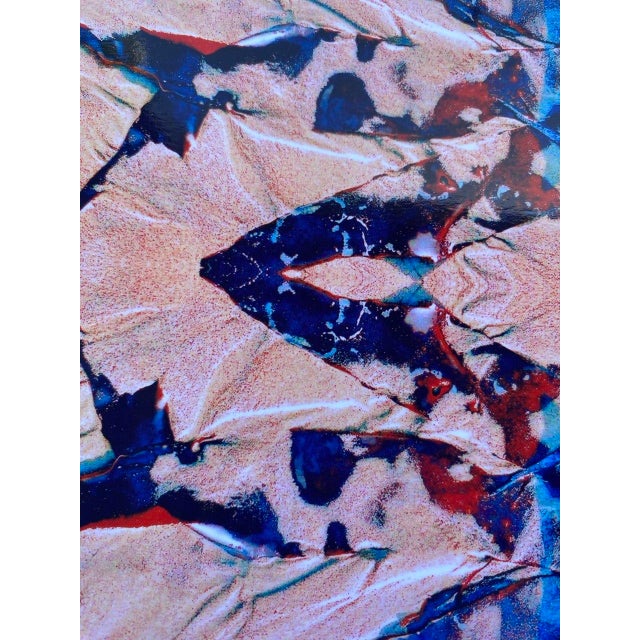 2000 - 2009 “Kelp Jewel II – Drakes Beach, California” Original Artwork by Clifford Baker For Sale - Image 5 of 8