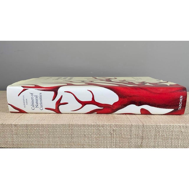 Mid 20th Century Vintage Albertus Seba “Cabinet of Natural Curiosities” Coffee Table Book by Taschen For Sale - Image 5 of 9