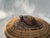 Brown Vintage Indonesian Lombok Woven Rattan Lidded Basket With Wood Carved Turtle For Sale - Image 8 of 18