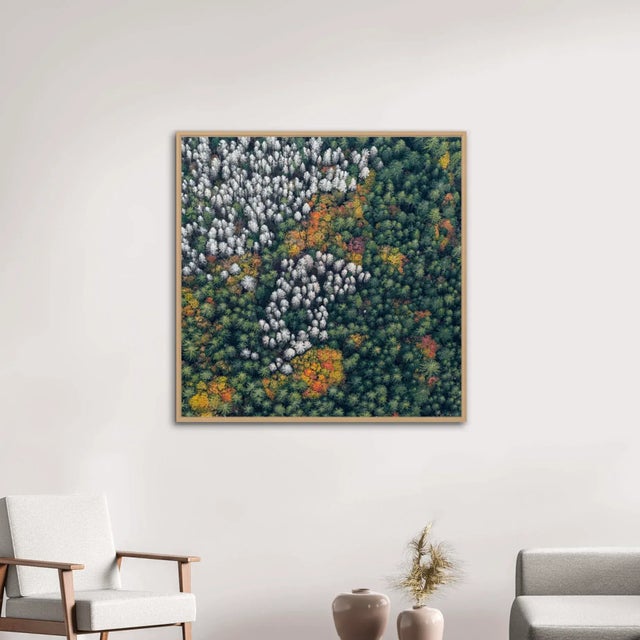 Not Yet Made - Made To Order "Bavarian_Forest_014" Size C Limited Edition Fine Art Photograph by Bernhard Lang For Sale - Image 5 of 7