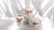 This is a white coffee pot by Rosenthal in the Aida pattern. It has a large pink rose on each side with nice gold trim and...