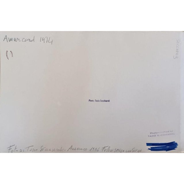 Modern Tazio Secchiaroli, Amarcord, 1974, Fellini For Sale - Image 3 of 4