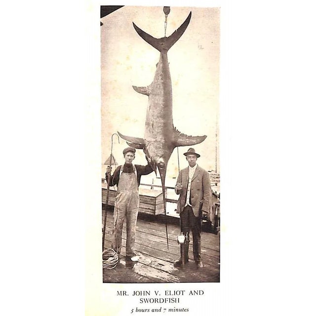 Paper "Sport on Land and Water: Volumes I, Ii, Iii" 1913 Griswold, Frank Gray For Sale - Image 7 of 18