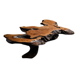 Brutalist Elm Burl Coffee Table, 1960 For Sale