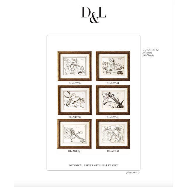Wood Dennis & Leen Botanical Print With Gilded Frame – DL-Art 41 For Sale - Image 7 of 7