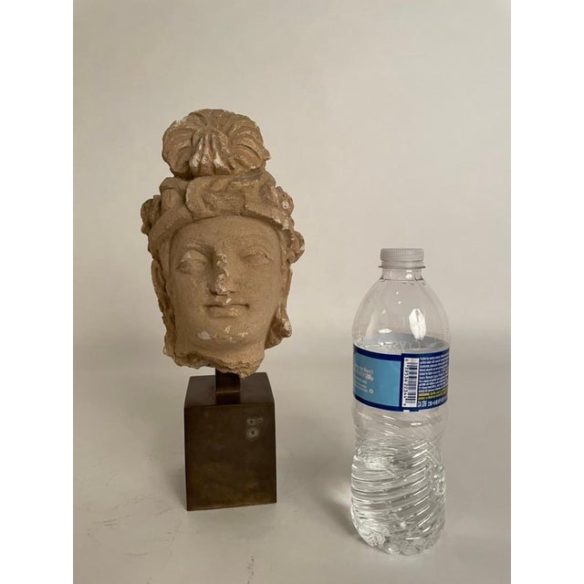 Gandharan Stucco Head of a Bodhisattva, 3rd-5th Century For Sale - Image 11 of 12