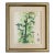 Antique Chinese Botanical Painting, Bamboo Plant For Sale