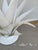 2020s Currey & Company Modern White Meta Agave Sculptures Pair For Sale - Image 5 of 6