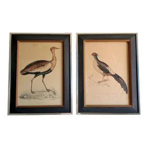 Pair of Antique Elizabeth Gould Hand Colored Framed Lithographs Birds From the Himalaya Mountains, 1831