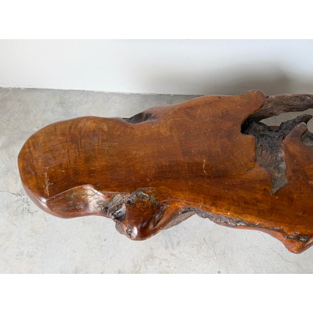 1960’s Mid-Century Hand-Carved Live Edge Redwood Burl Root Coffee Table For Sale In Miami - Image 6 of 12