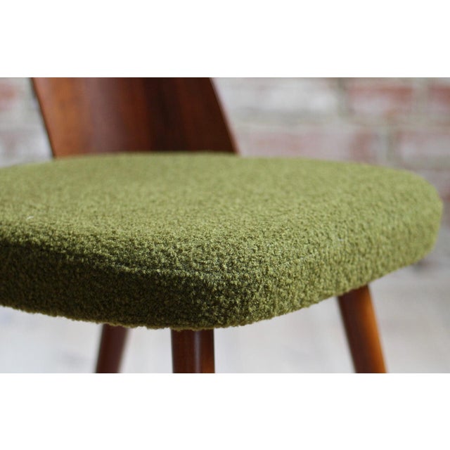 Mid-Century Modern Dining Chairs by A. Šuman, 1960s, Set of 8 For Sale - Image 13 of 18