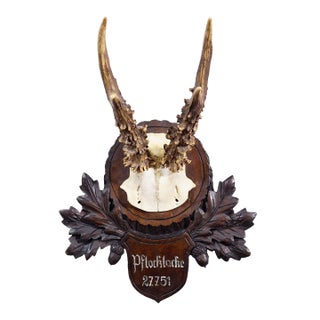 Vintage Black Forest Red Deer Trophy on Carved Plaque - Germany 1951 For Sale