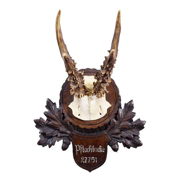 Vintage Black Forest Red Deer Trophy on Carved Plaque - Germany 1951 For Sale