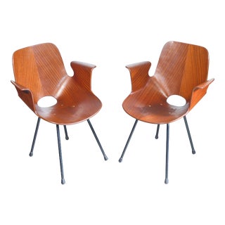 Medea Chairs by V. Nobili for Tagliabue, Set of 2 For Sale