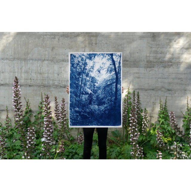 Paper "Soft Light in the Woods" Contemporary Landscape Handmade Cyanotype Print on Watercolor Paper For Sale - Image 7 of 8