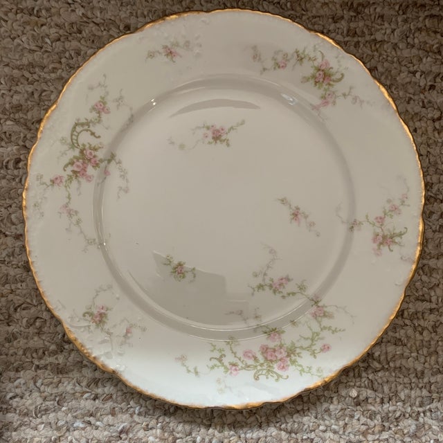 Early 20th Century Early 20th Century Mismatch French Limoges Dinner Plates - Set of 6 For Sale - Image 5 of 8