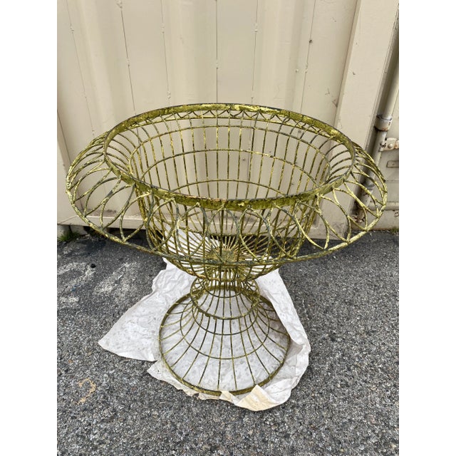 Create a dramatic display with this wonderful planter. Soldered metal construction in an interpretation of the classic...