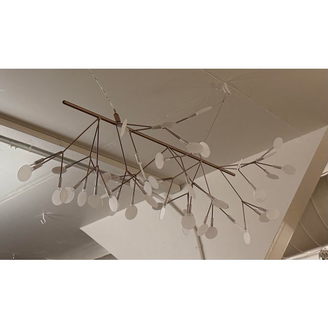 Bertjan Pot for Moooi Heracleum Endless Suspension Lamp For Sale In San Francisco - Image 6 of 12